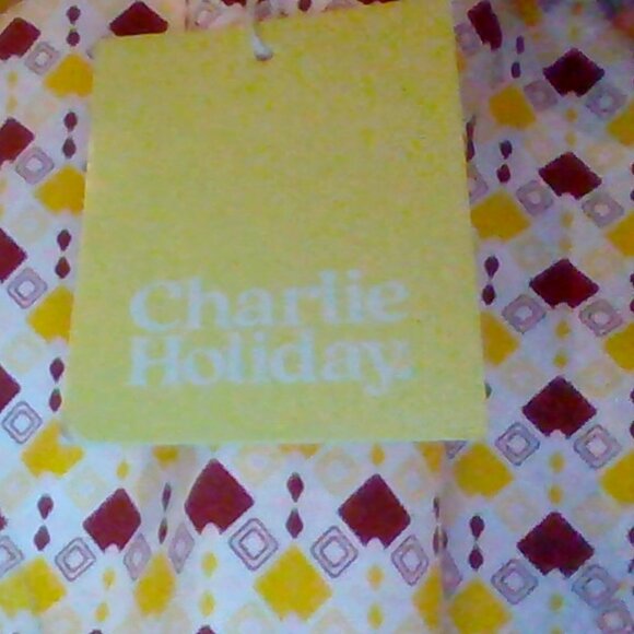 Brand New Charlie Holiday Reversible Bikini Swim Bottoms, "Mylo Brief" - Picture 3 of 6
